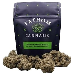 Ho peジェントリージョーズ Hopper - Six-Row Seeder Accessory | Johnny's Selected Seeds